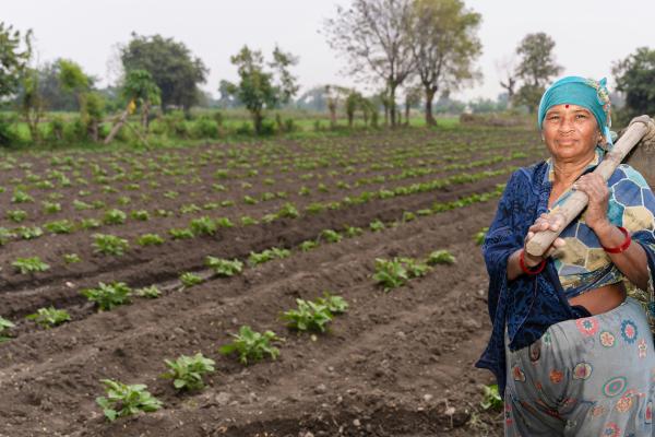 ACFM Agri-SME Program – Seed Lab First Call for Applications
