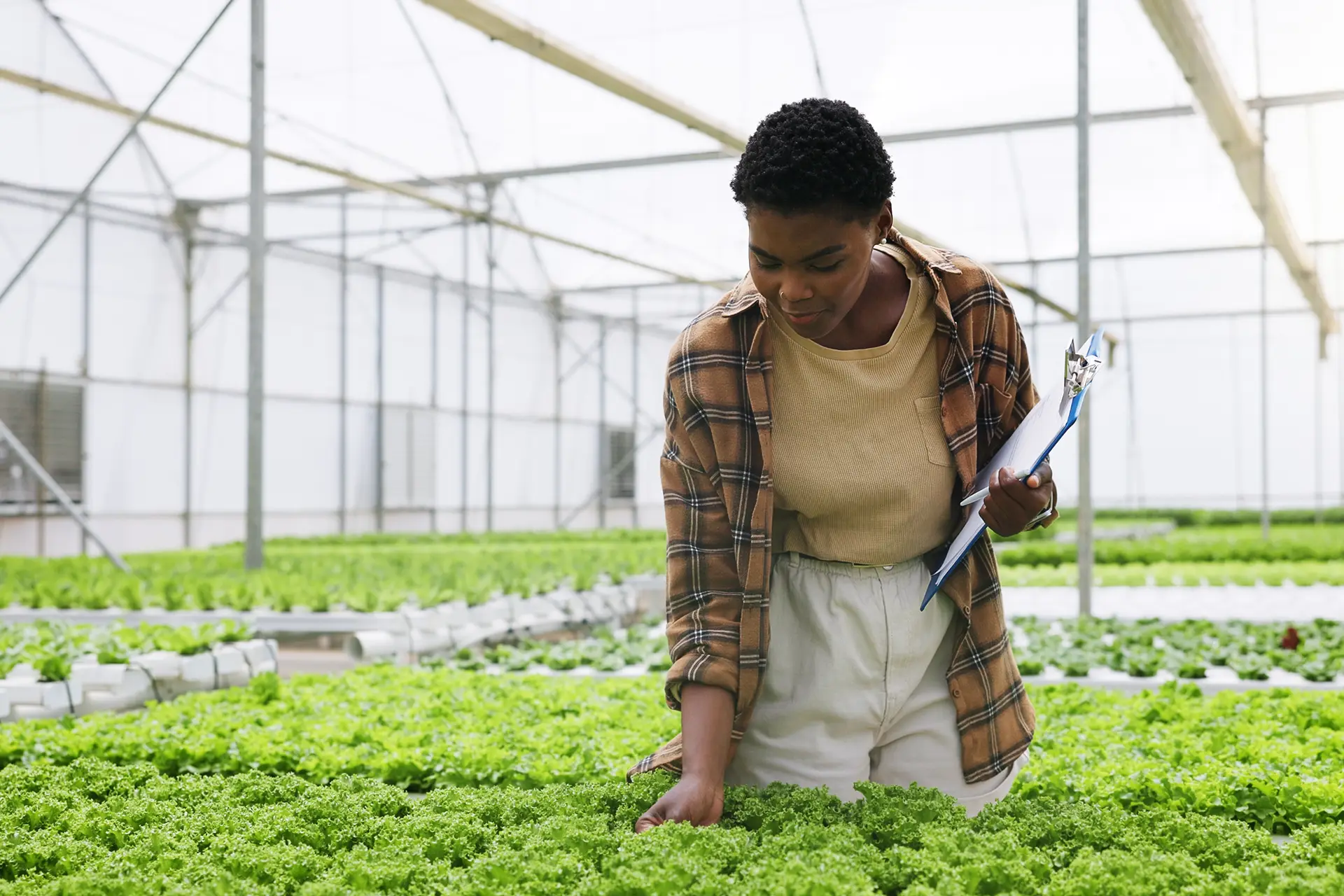 Agricultural value chain sustainability-linked loan — Export Trading Group
