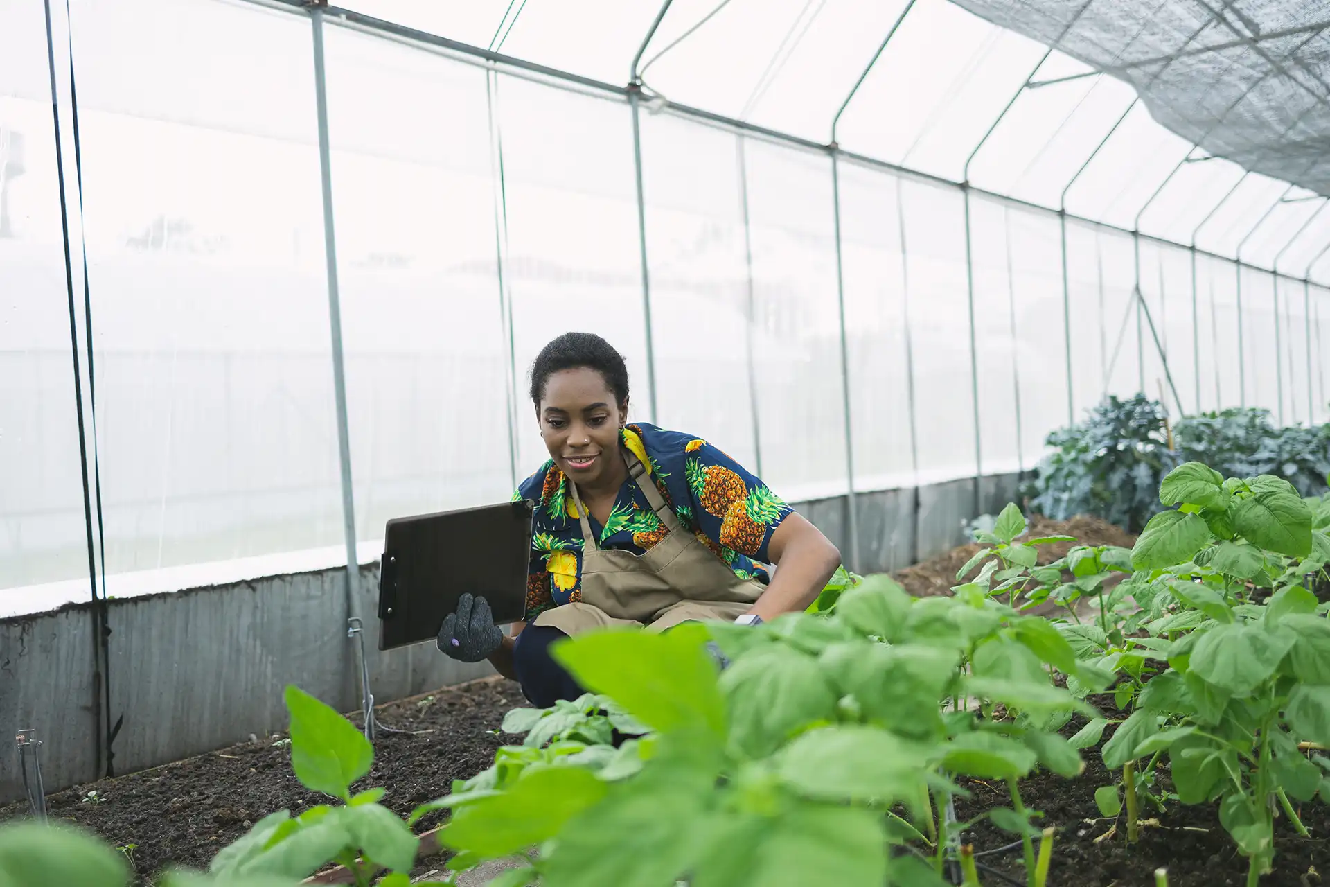 Agri-SMEs Access to Finance, South Africa — FirstRand Bank