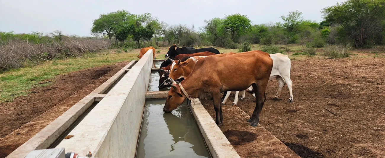 Water infrastructure supported by ADRiFi
