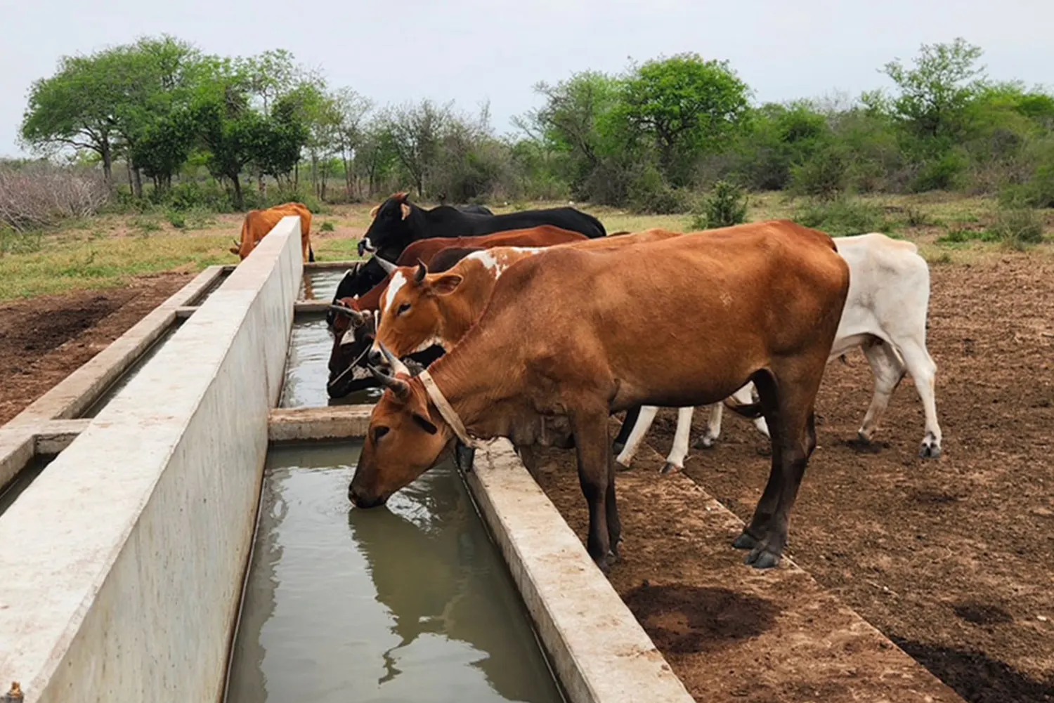 Key insights from the Climate Disaster Risk Financing and Insurance (CDRFI) Forum, Malawi
