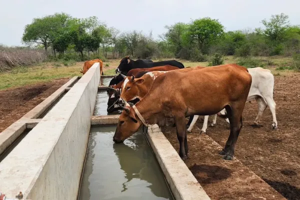 Water infrastructure supported by ADRiFi
