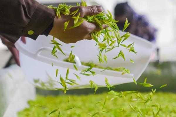 Launch of the Agri-Food SME Catalytic Financing Mechanism SME Support Program