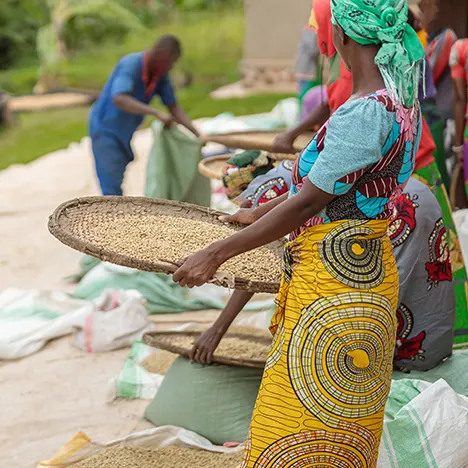 Barriers to Unlocking the Potential of Africa’s Agri-SMEs